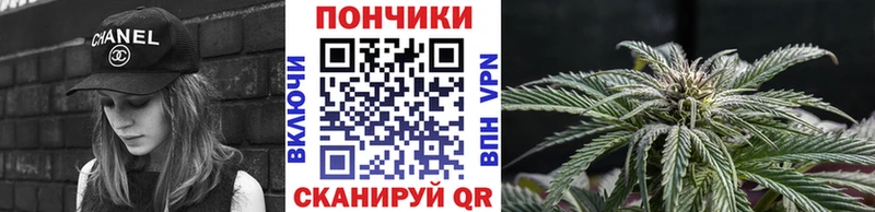 Купить закладки  Стародуб  Конопля Amnesia 